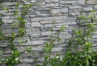 Lietinnagreen-walls-4.jpg; ?>